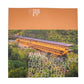 ZENBO PHOTO BOOK 『淡路島 : 禅坊靖寧と陽・燦燦 ―坂 茂 の建築』