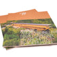 ZENBO PHOTO BOOK 『淡路島 : 禅坊靖寧と陽・燦燦 ―坂 茂 の建築』