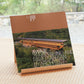 ZENBO PHOTO BOOK 『淡路島 : 禅坊靖寧と陽・燦燦 ―坂 茂 の建築』